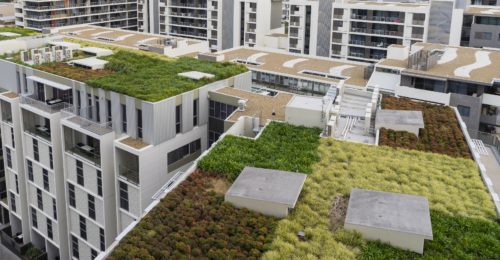 Green roofs are environmentally sustainable